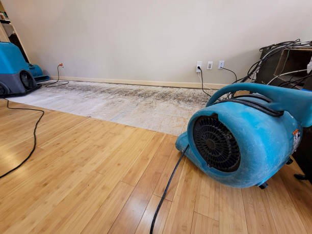 Professional Water Damage Repair technician working in Pe Ell, WA